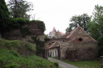  (© Michal Brůža, 06/2011)