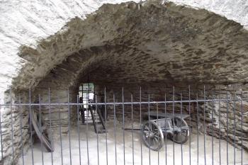  (© Michal Brůža, 06/2011)