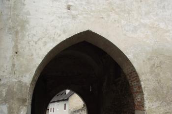  (© Michal Brůža, 06/2011)