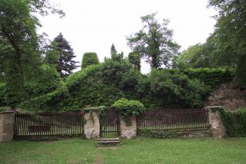  (© Michal Brůža, 06/2011)