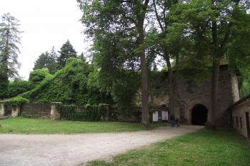  (© Michal Brůža, 06/2011)