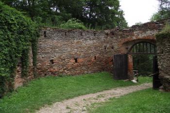  (© Michal Brůža, 06/2011)