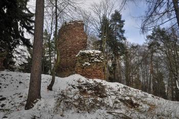 Torzo věže od jihu. ( © Radovan Smokoň 01/2013)