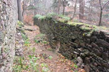  (© 2003 Jiří Čížek)