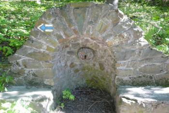 Jeden z přírodních zdrojů vody, lemujících přístupovou cestu k zámku (© Jaroslav Šefčík, 06/2009)