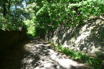 Přístupová cesta (© Jaroslav Šefčík, 06/2009)