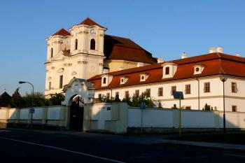 V podvečerním slunci (© Jiří Cukr, 08/2015)