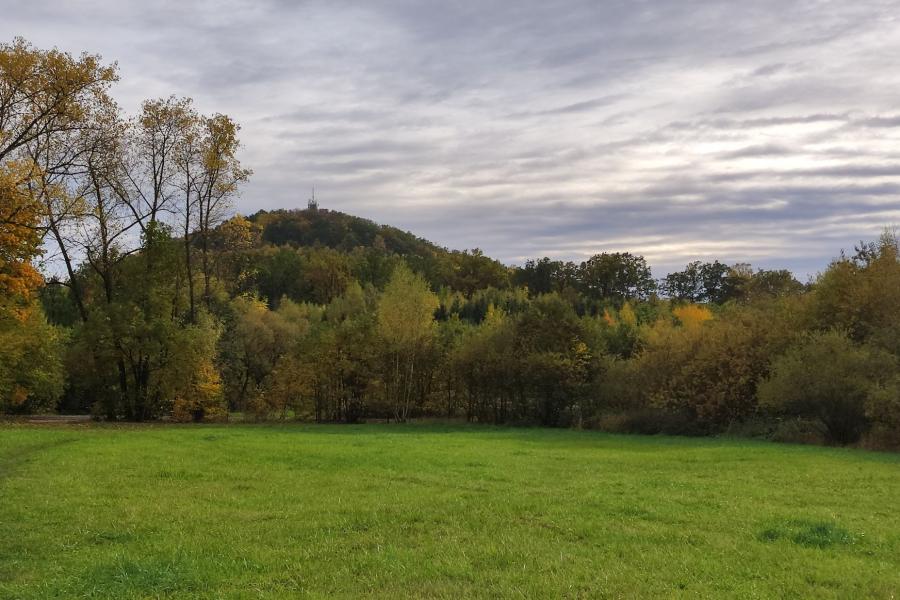 Špičák