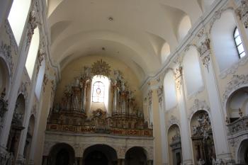 kůr (© Luděk Vláčil  12/2025)