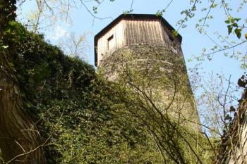 Věž z příkopu ( © Jiří Čížek 05/2006)