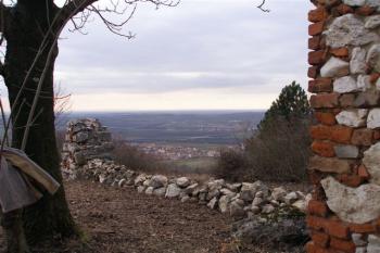  (© Anežka Helánová, 02/2008)