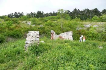 celkový pohled na dochované zříceniny kaple sv. Antonína ( © Jan P. Štěpánek 07/2008)