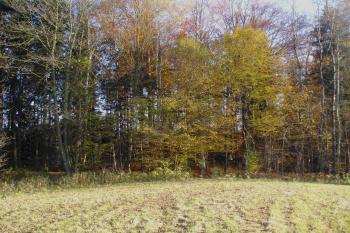  (© Jan Švejkar, 10/2010)