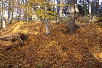  (© Jan Švejkar, 10/2010)