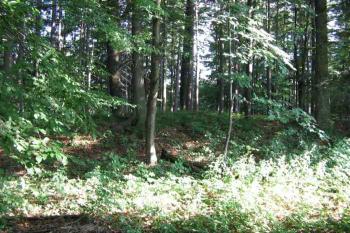 Val pohled od silnice (© Pavel doskocil 08/2005)
