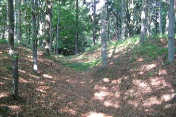 Příkop (© Pavel doskocil 08/2005)