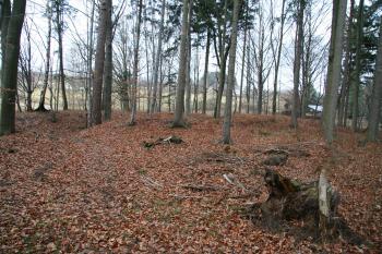 Plocha hradu (© Petr Nožička, 12/2008)