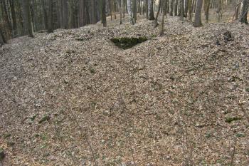  ( ©Martin Kabeláč  04/2006)