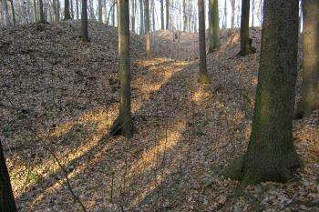  ( ©Martin Kabeláč  04/2006)