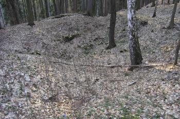  ( ©Martin Kabeláč  04/2006)
