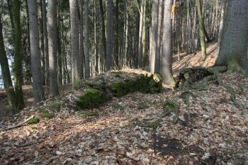Největší kus zdi obvodové hradby  ( © Petr Nožička 03/2010)
