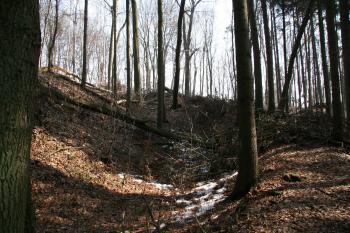 Příkop ( © Petr Nožička 03/2010)