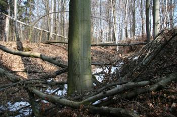 Příkop ( © Petr Nožička 03/2010)