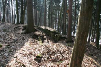Největší kus zdi obvodové hradby  ( © Petr Nožička 03/2010)