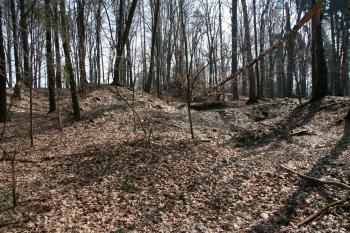Pohled na hradiště ( © Petr Nožička 03/2010)