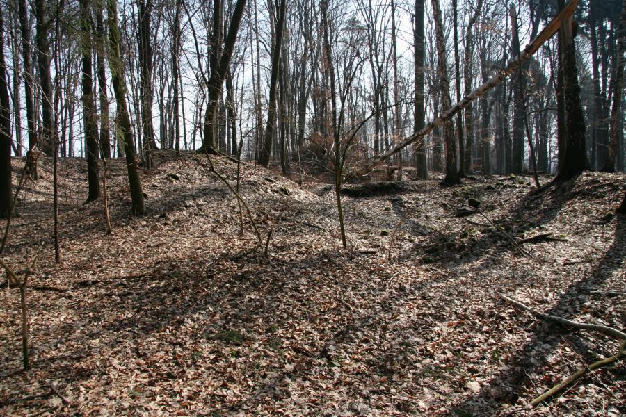Pustohrad u Hořic