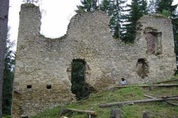  (© PETR HAVLÍK 08/2005)