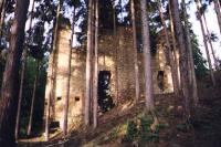 Pořešín