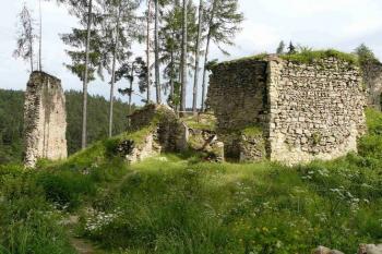 Pořešín (© Pavel Kozel, 06/2008)