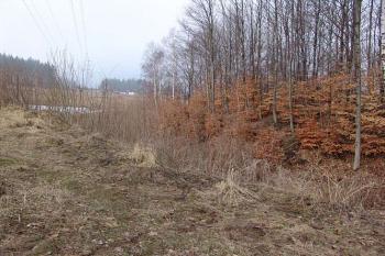 První příkop, pohled z jádra ( © Roman Řezáč 03/2005)