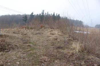 Čelní plocha jádra, na konci stála okrouhlá věž ( © Roman Řezáč 03/2005)