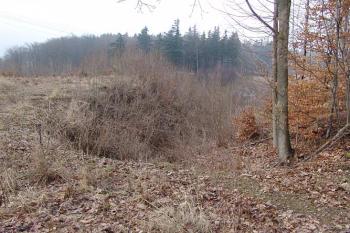 První příkop před jádrem ( © Roman Řezáč 03/2005)
