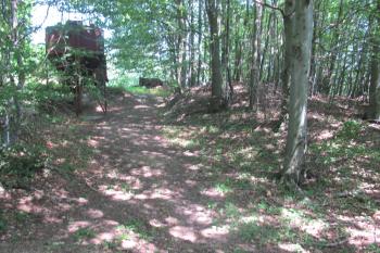 Úvozová cesta, kopírující sz.příkop, vpravo sz. val (© Dušan Dohňanský 07/2019)