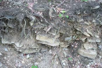 Zbytek kameniva v sz.části ( © Dušan Dohňanský 07/2019)