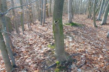 Široký čelní val na sz. (© Dušan Dohňanský  12/2023)