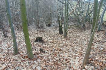 Snížená středová část valu (© Dušan Dohňanský  12/2023)