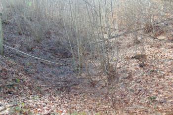 Vnitřní mohutný příkop je tvořen přírodní rokli (© Dušan Dohňanský  12/2023)