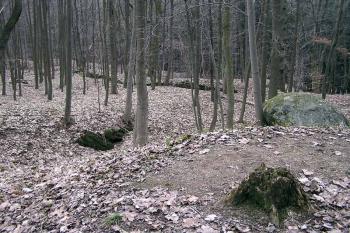  ( © Luděk Pitter 03/2005)
