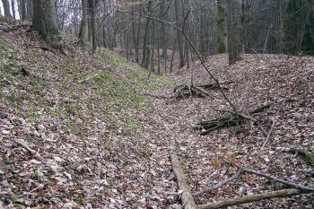  ( © Luděk Pitter 03/2005)