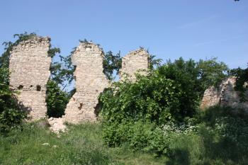 Palác od jihu ( © Ivan Grisa 06/2011)