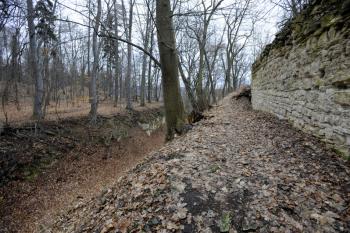 příkop (© René Volfík, 03/2009)