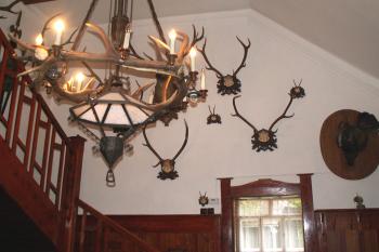Lovecké trofeje lemující stěny schodiště. (© Miroslav BITTER 07/2005)