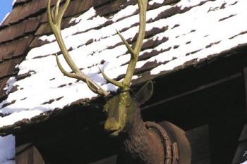 detail umělé plastiky jelení hlavy se skutečnou loveckou trofejí v podobě paroží na věži zámečku ( © Jan P. Štěpánek 01/2005)