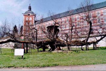 Kamenice nad Lipou - zámek (© Štěpán Kučera 04/2006)