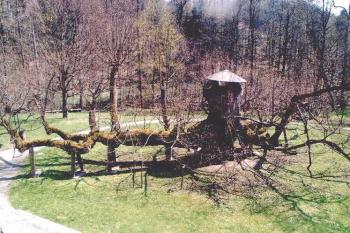 Kamenice nad Lipou - zámek (© Štěpán Kučera 04/2006)