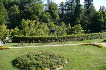 Kamenice nad Lipou - památná lípa, pohled od zámku (© Pavel Jarý,  05.08.2007)